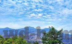纪实比分足球-从绿茵场到数据海洋，纪实比分足球背后的时代变革