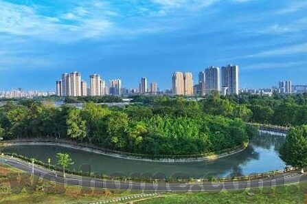利物浦与曼联足球比分-双红会硝烟再起，利物浦2-1险胜曼联，战术博弈与关键先生的双重奏