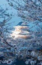 中央直播足球实时比分-中央直播足球实时比分，球迷狂欢的数字盛宴与背后的体育生态